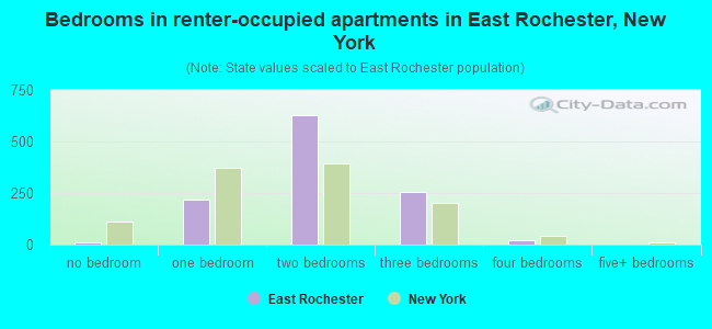 Bedrooms in renter-occupied apartments in East Rochester, New York