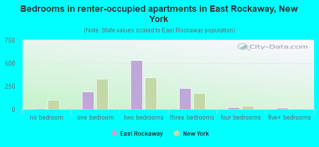 Bedrooms in renter-occupied apartments in East Rockaway, New York
