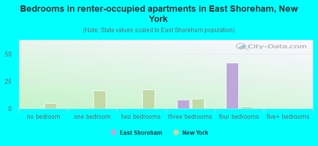 Bedrooms in renter-occupied apartments in East Shoreham, New York