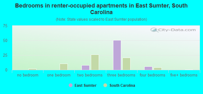 Bedrooms in renter-occupied apartments in East Sumter, South Carolina
