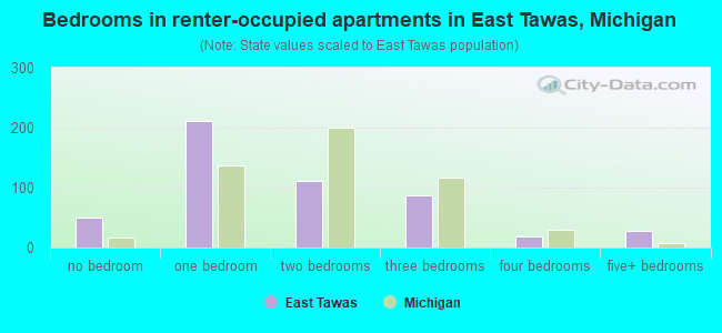 Bedrooms in renter-occupied apartments in East Tawas, Michigan