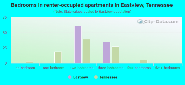 Bedrooms in renter-occupied apartments in Eastview, Tennessee