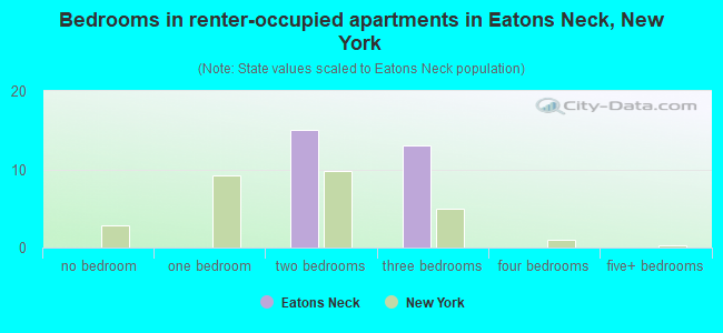 Bedrooms in renter-occupied apartments in Eatons Neck, New York