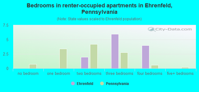 Bedrooms in renter-occupied apartments in Ehrenfeld, Pennsylvania