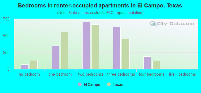 Bedrooms in renter-occupied apartments in El Campo, Texas