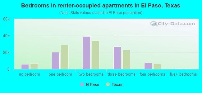 Bedrooms in renter-occupied apartments in El Paso, Texas