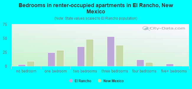 Bedrooms in renter-occupied apartments in El Rancho, New Mexico