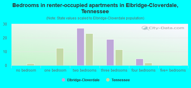 Bedrooms in renter-occupied apartments in Elbridge-Cloverdale, Tennessee