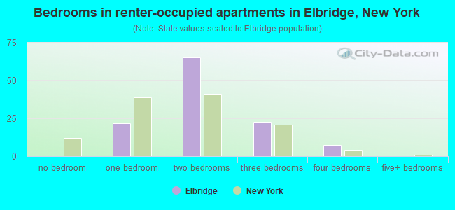 Bedrooms in renter-occupied apartments in Elbridge, New York