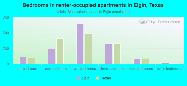 Bedrooms in renter-occupied apartments in Elgin, Texas