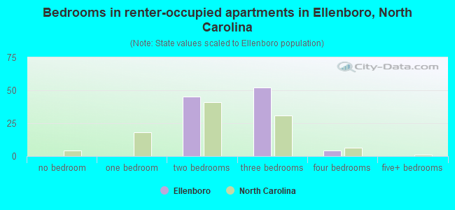 Bedrooms in renter-occupied apartments in Ellenboro, North Carolina