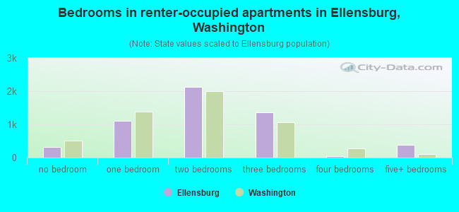 Bedrooms in renter-occupied apartments in Ellensburg, Washington