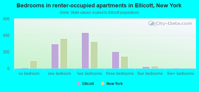 Bedrooms in renter-occupied apartments in Ellicott, New York