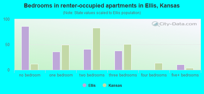 Bedrooms in renter-occupied apartments in Ellis, Kansas