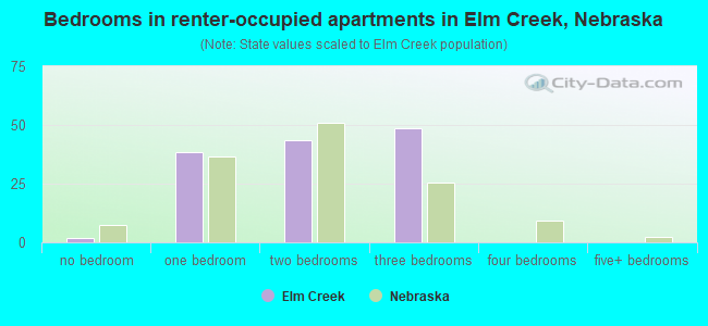 Bedrooms in renter-occupied apartments in Elm Creek, Nebraska