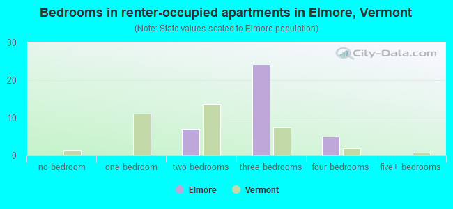 Bedrooms in renter-occupied apartments in Elmore, Vermont