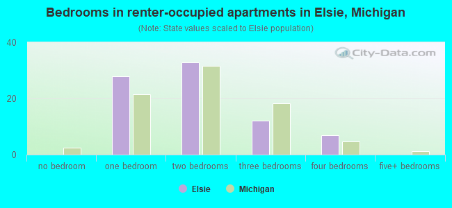 Bedrooms in renter-occupied apartments in Elsie, Michigan