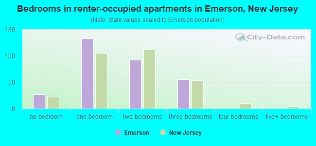 Bedrooms in renter-occupied apartments in Emerson, New Jersey