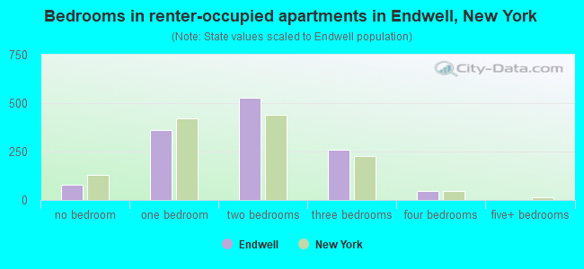 Bedrooms in renter-occupied apartments in Endwell, New York