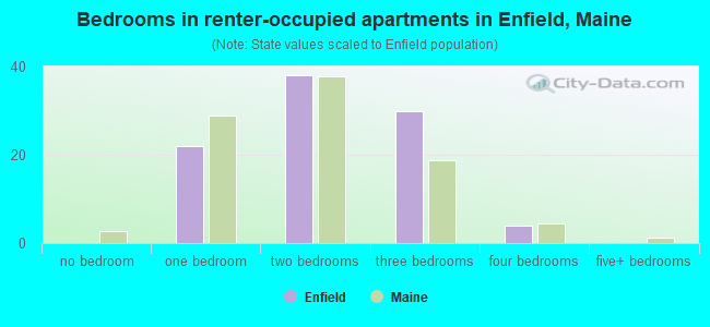 Bedrooms in renter-occupied apartments in Enfield, Maine