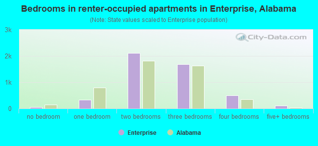 Bedrooms in renter-occupied apartments in Enterprise, Alabama