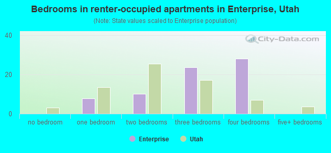 Bedrooms in renter-occupied apartments in Enterprise, Utah