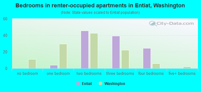 Bedrooms in renter-occupied apartments in Entiat, Washington