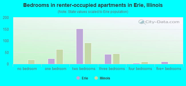Bedrooms in renter-occupied apartments in Erie, Illinois