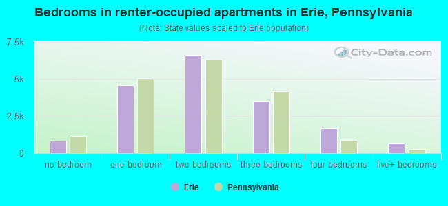 Bedrooms in renter-occupied apartments in Erie, Pennsylvania