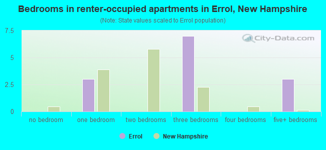 Bedrooms in renter-occupied apartments in Errol, New Hampshire