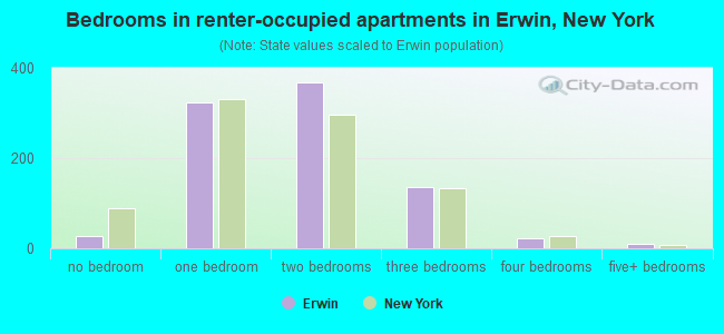 Bedrooms in renter-occupied apartments in Erwin, New York