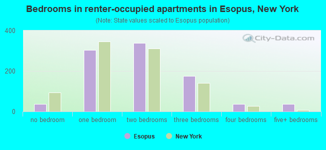 Bedrooms in renter-occupied apartments in Esopus, New York