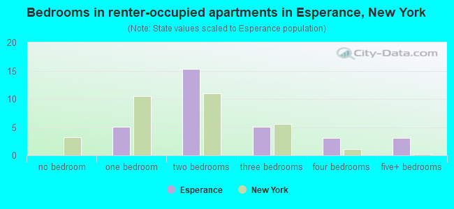 Bedrooms in renter-occupied apartments in Esperance, New York