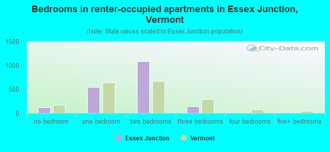 Bedrooms in renter-occupied apartments in Essex Junction, Vermont