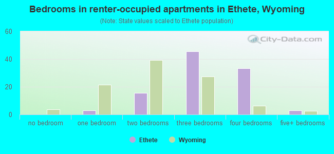 Bedrooms in renter-occupied apartments in Ethete, Wyoming