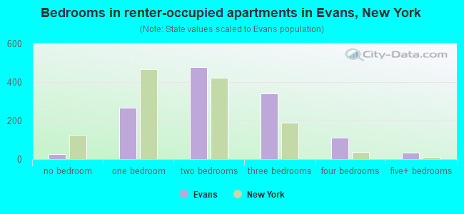 Bedrooms in renter-occupied apartments in Evans, New York