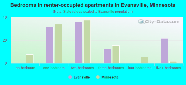 Bedrooms in renter-occupied apartments in Evansville, Minnesota