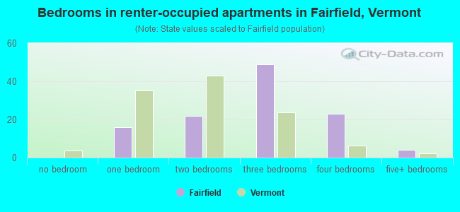Bedrooms in renter-occupied apartments in Fairfield, Vermont