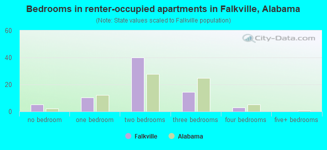 Bedrooms in renter-occupied apartments in Falkville, Alabama
