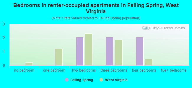 Bedrooms in renter-occupied apartments in Falling Spring, West Virginia