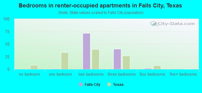 Bedrooms in renter-occupied apartments in Falls City, Texas