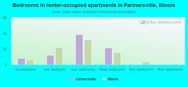 Bedrooms in renter-occupied apartments in Farmersville, Illinois