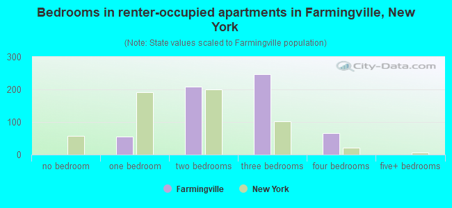 Bedrooms in renter-occupied apartments in Farmingville, New York