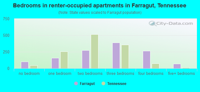 Bedrooms in renter-occupied apartments in Farragut, Tennessee