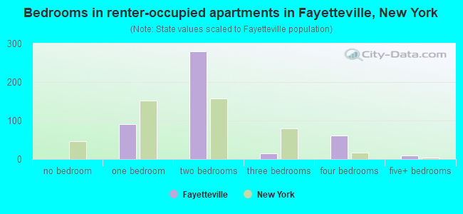 Bedrooms in renter-occupied apartments in Fayetteville, New York
