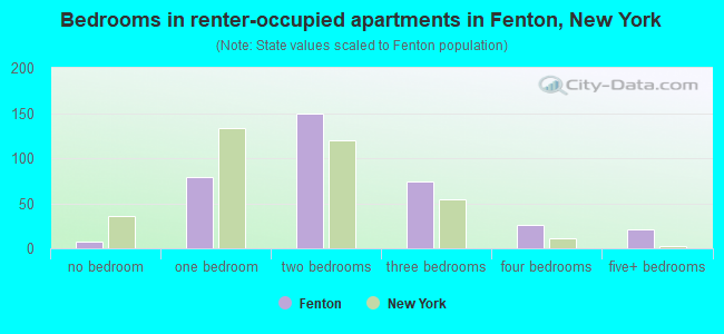 Bedrooms in renter-occupied apartments in Fenton, New York