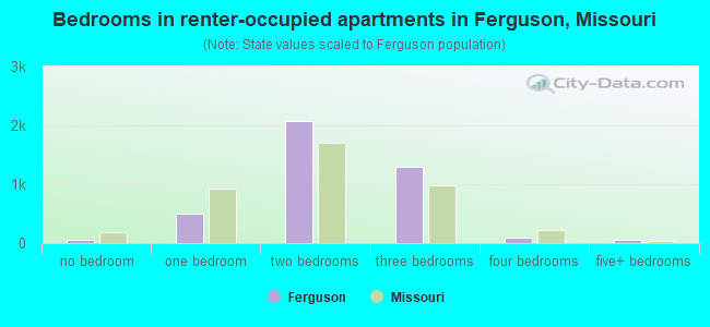 Bedrooms in renter-occupied apartments in Ferguson, Missouri