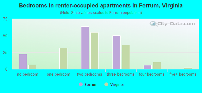 Bedrooms in renter-occupied apartments in Ferrum, Virginia