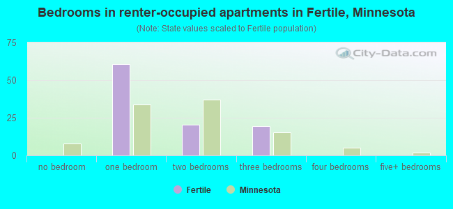 Bedrooms in renter-occupied apartments in Fertile, Minnesota
