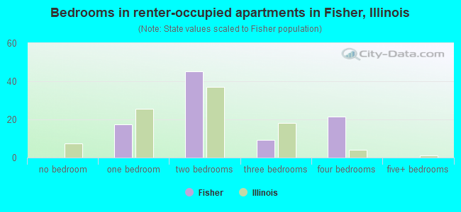 Bedrooms in renter-occupied apartments in Fisher, Illinois